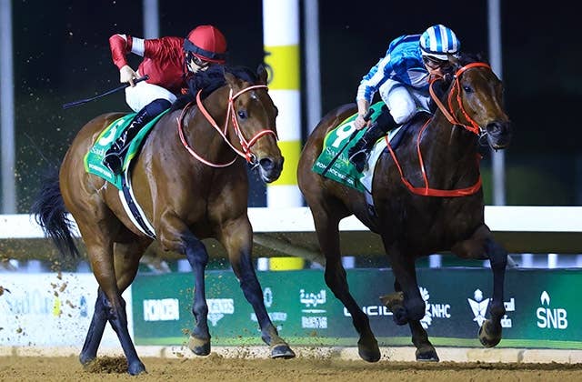 2025サウジカップ | JRA-VAN World - 海外競馬情報サイト