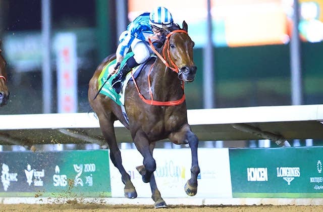 2025サウジカップ | JRA-VAN World - 海外競馬情報サイト