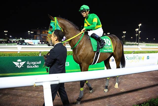 サウジC3着ウシュバテソーロ、同4着ウィルソンテソーロはともにドバイ