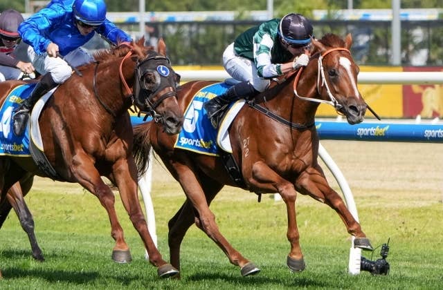 デビュー2戦目のデビルナイト、豪2歳G1ブルーダイヤモンドSで初勝利
