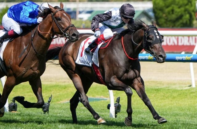 トムキトゥン（Tom Kitten） | 競馬データベース | JRA-VAN