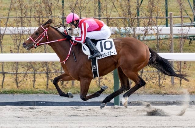 アメリカ競馬史 カジノドライヴUSAの海外競馬: BC クラシックはゼニヤッタが勝利