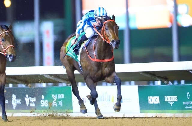 サウジカップ（G1） 2025/2/22(土) | 日程・結果 | JRA-VAN World