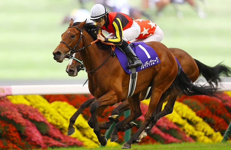 ブレイディヴェーグ（Brede Weg） | 競馬データベース | JRA-VAN