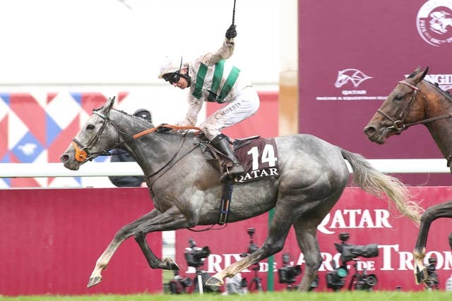 凱旋門賞馬アルピニスタ、スタディオブマン産駒の牡馬を出産 | JRA-VAN 凱旋門賞馬アルピニスタ、スタディオブマン産駒の牡馬を出産 | JRA-VAN