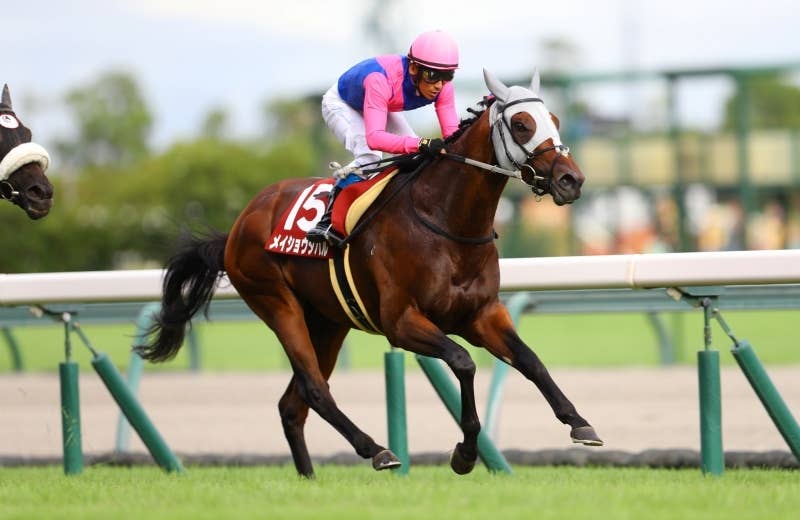 メイショウタバル（Meisho Tabaru） | 競馬データベース | JRA