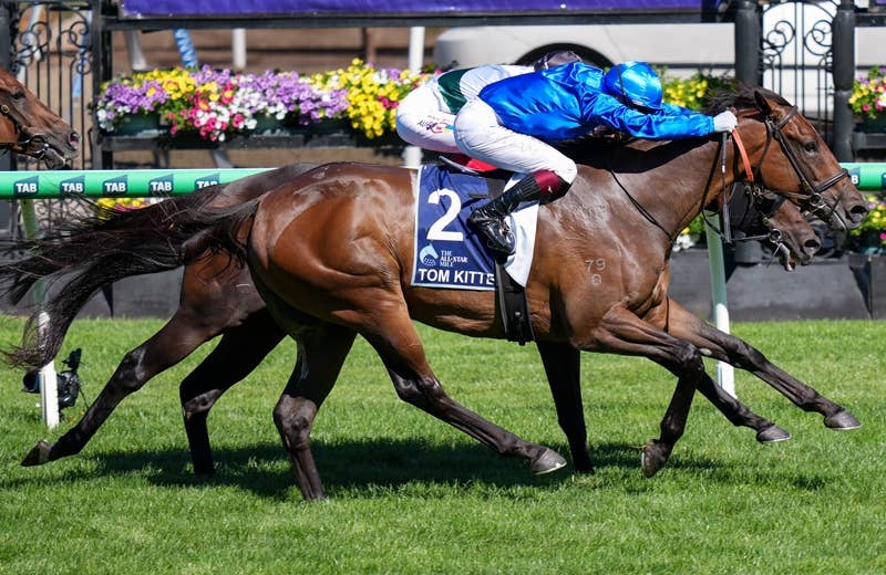 トムキトゥン（Tom Kitten） | 競馬データベース | JRA-VAN