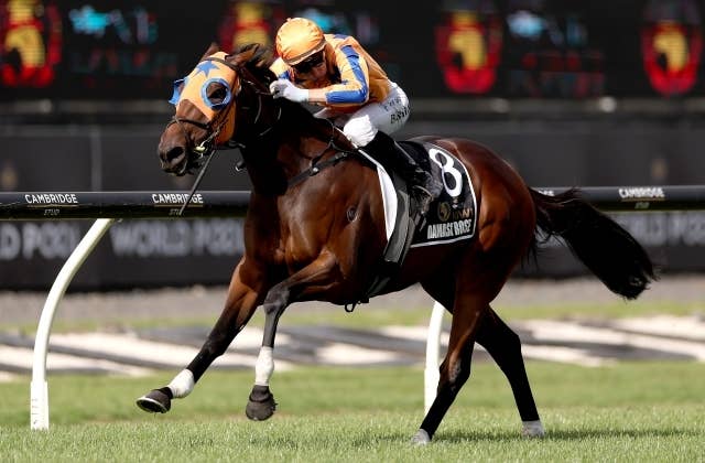 競馬ファンの方、海外レース、優勝馬 オルフェーヴルまさかの斜行”がもう10年前…海外競馬評論家・合田直弘に