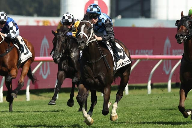 ラズーラが豪G2ファーラップSを制覇、母は日本で走ったハーツクライ産