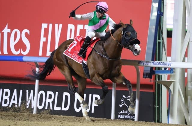 レア　美品　ドバイワールドカップ　ジャケット　　ジャンパー　競馬 Amazon | ドバイワールドカップ 公式グッズ ジャンパー トップス