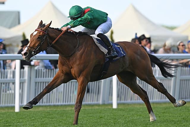 67dcd129-6c8c-4aa2-b2e6-