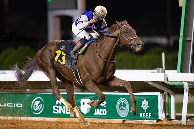 ドバイWC】サウジC5着の米国馬ラトルンロール陣営が招待受諾！出走想定