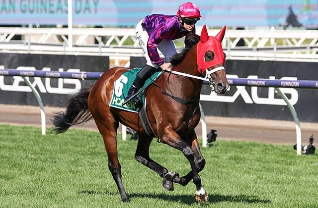 香港ダービー（L） 2025/3/23(日) | 日程・結果 | JRA-VAN World