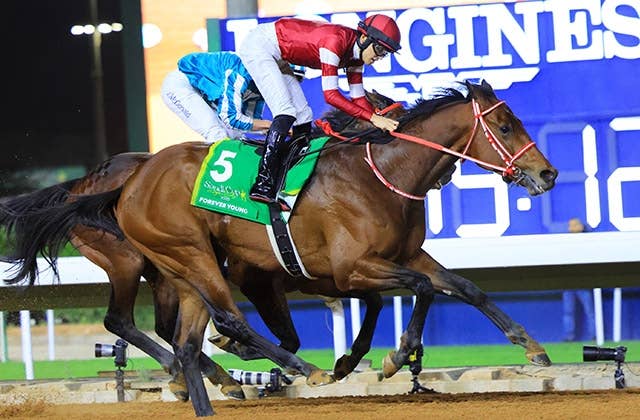 2025ドバイワールドカップ | JRA-VAN World - 海外競馬情報サイト