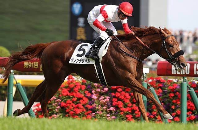 ドバイシーマC】ダノンデサイル国内最終追い1馬身先着、ラスト11秒1