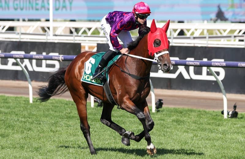 キャップフェラ（Cap Ferrat） | 競馬データベース | JRA-VAN World