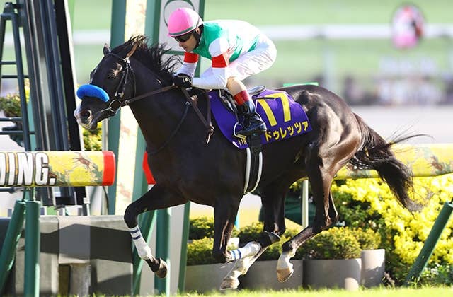 【超貴重】競馬　ドゥラメンテ　グラス セレクトセール】ドゥラメンテ産駒、最終世代が14頭で14億円