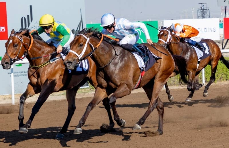 カラーアップ（Colour Up） | 競馬データベース | JRA-VAN World