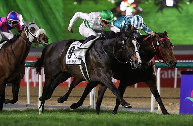 ドバイターフ】ソウルラッシュが香港の英雄ロマンチックウォリアーを