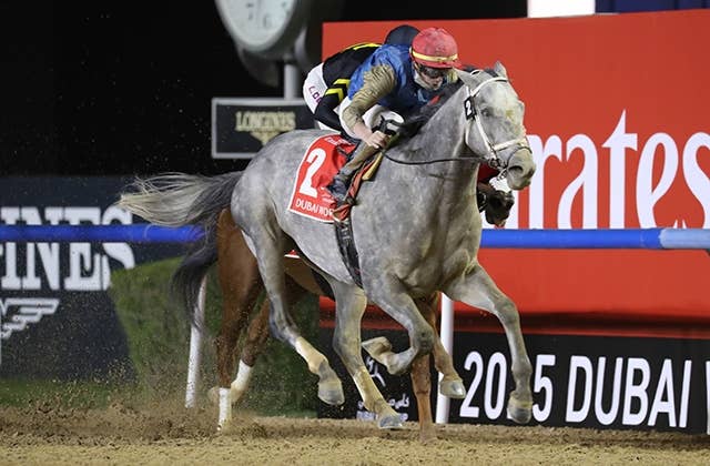 競馬 ウシュバテソーロ ドバイWC優勝記念 トラックジャケット