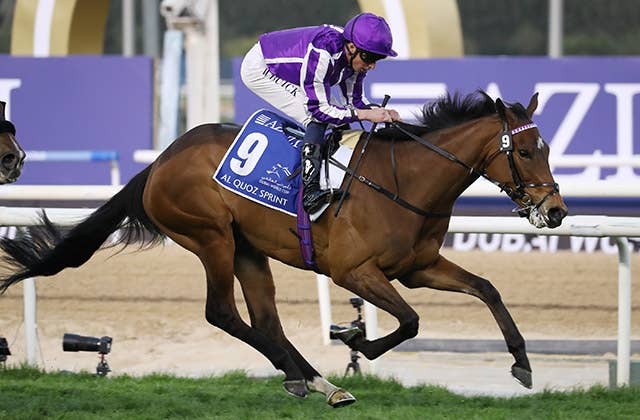 アルクオーツスプリント】英国馬ビリービングがG1初制覇、ウイン