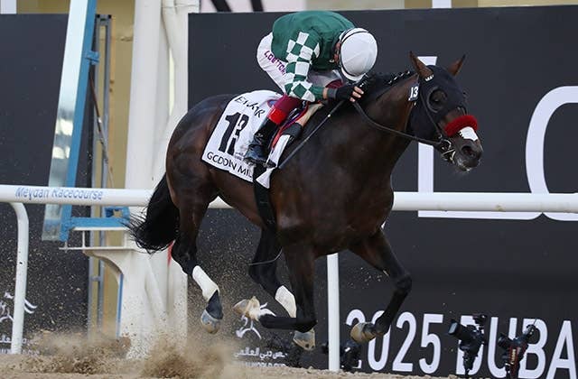 【待望★】 Nile） ペプチドナイル（Peptide | JRA-VAN | 競馬データベース コレクション