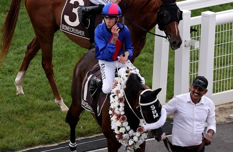 エルヴェンセドール（El Vencedor） | 競馬データベース | JRA