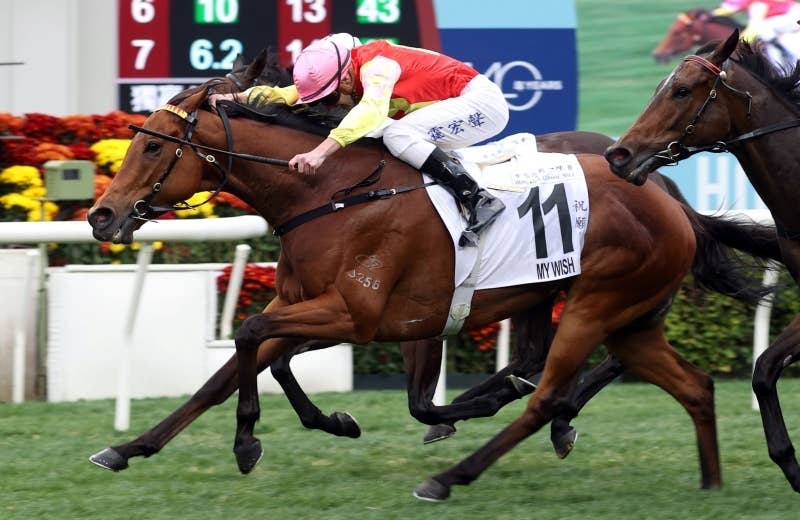 モンジュー　海外馬馬券38枚 モンジュー 海外馬馬券38枚 モンジュー（Montjeu） | 競馬