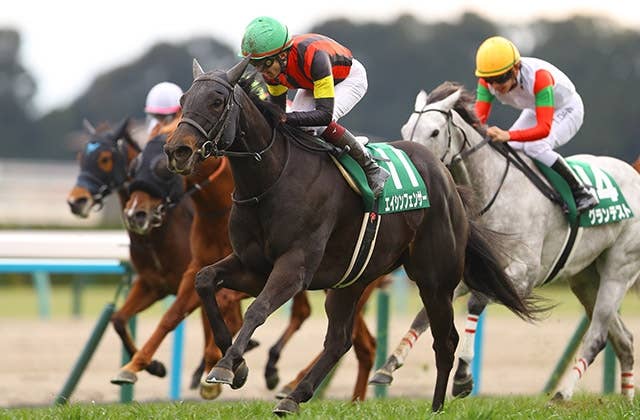 チェアマンズSP】血統も馬主も“春の香港”に縁！エイシンフェンサーは豪