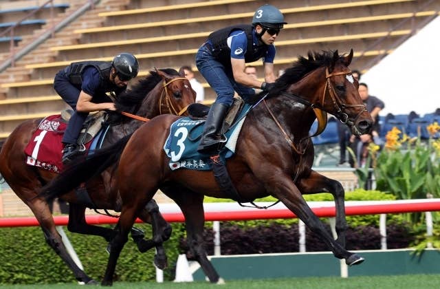 競馬　ポスター　タスティエーラ　大特価 クリスマスファッション 競馬 ポスター 大特価 タスティエーラ