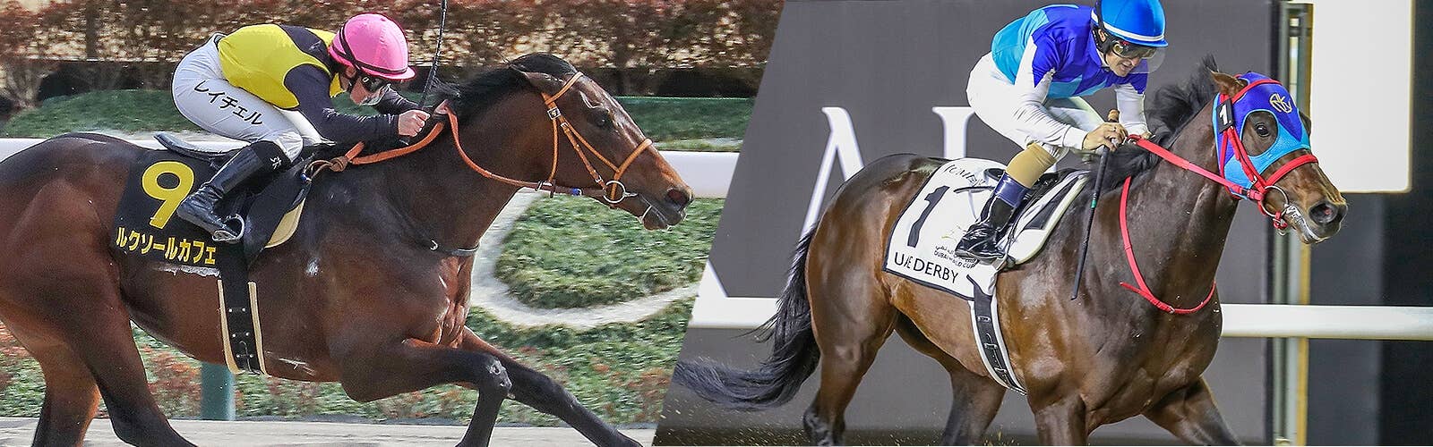 JRA-VAN World - 海外競馬情報サイト JRA-VAN World - 海外競馬情報サイト