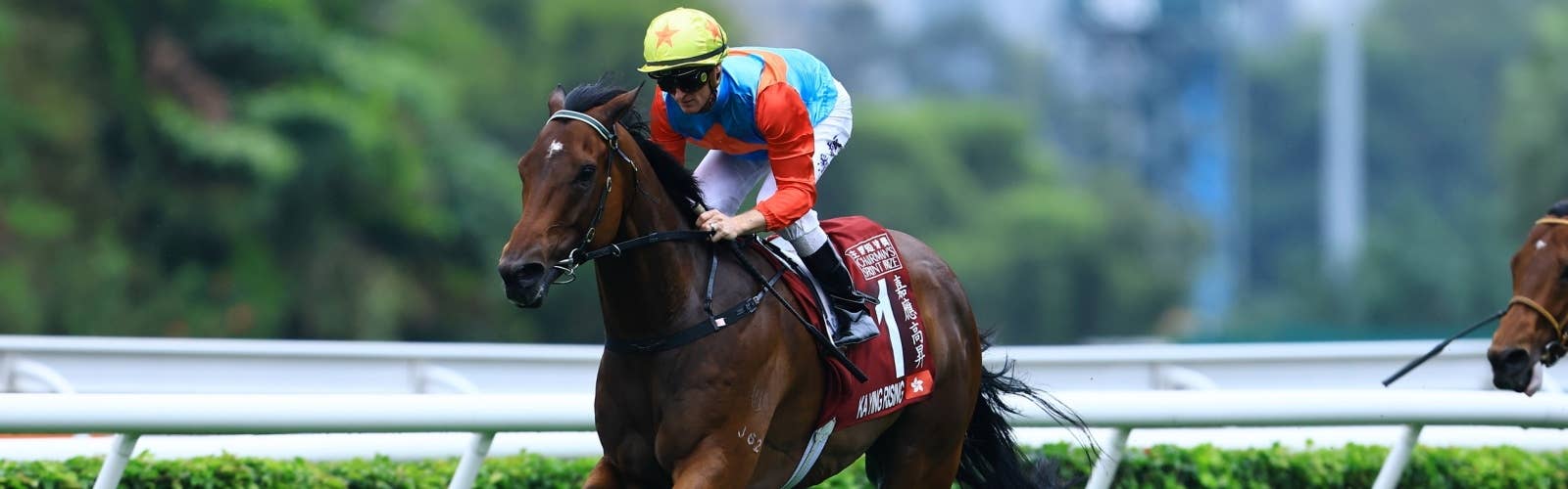 JRA-VAN World - 海外競馬情報サイト JRA-VAN World - 海外競馬情報サイト