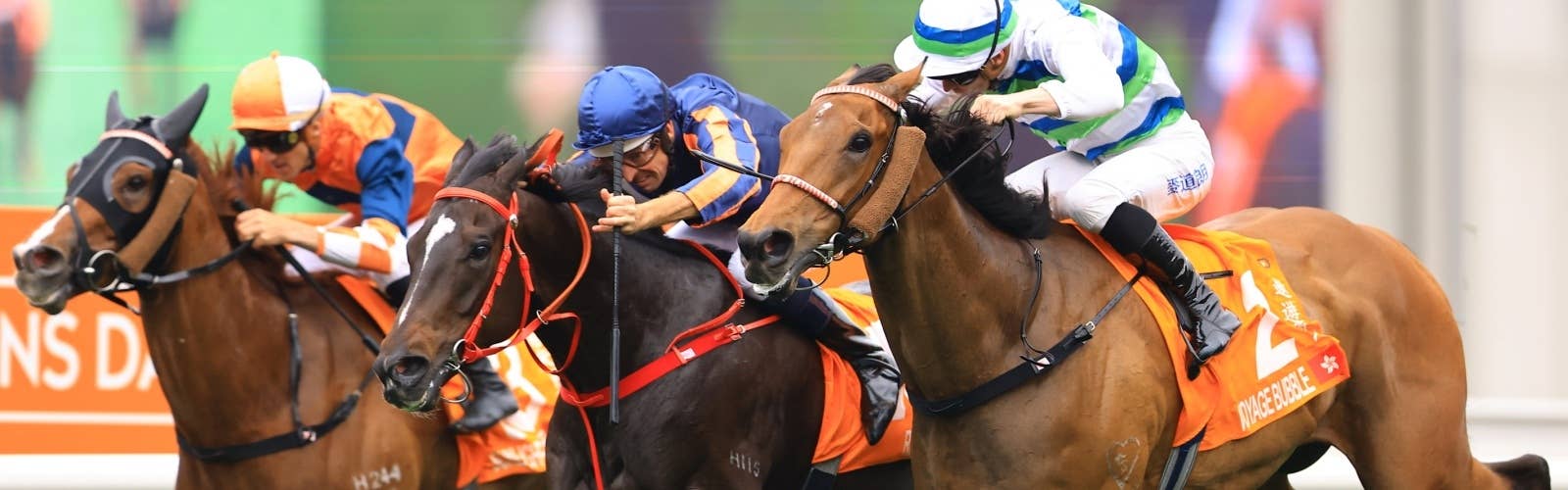 JRA-VAN World - 海外競馬情報サイト JRA-VAN World - 海外競馬情報サイト