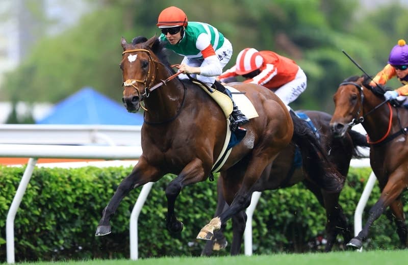 タスティエーラ（Tastiera） | 競馬データベース | JRA-VAN