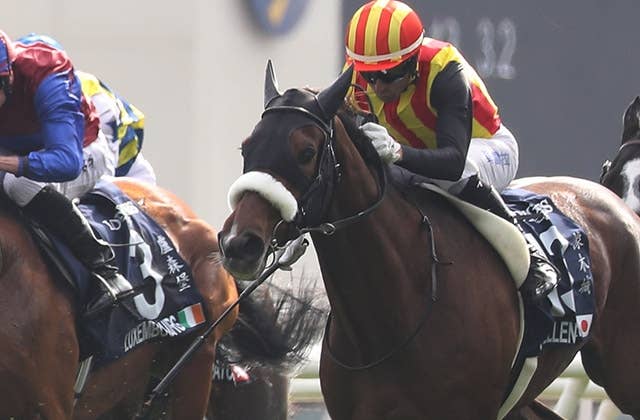 ステレンボッシュ（Stellenbosch） | 競馬データベース | JRA