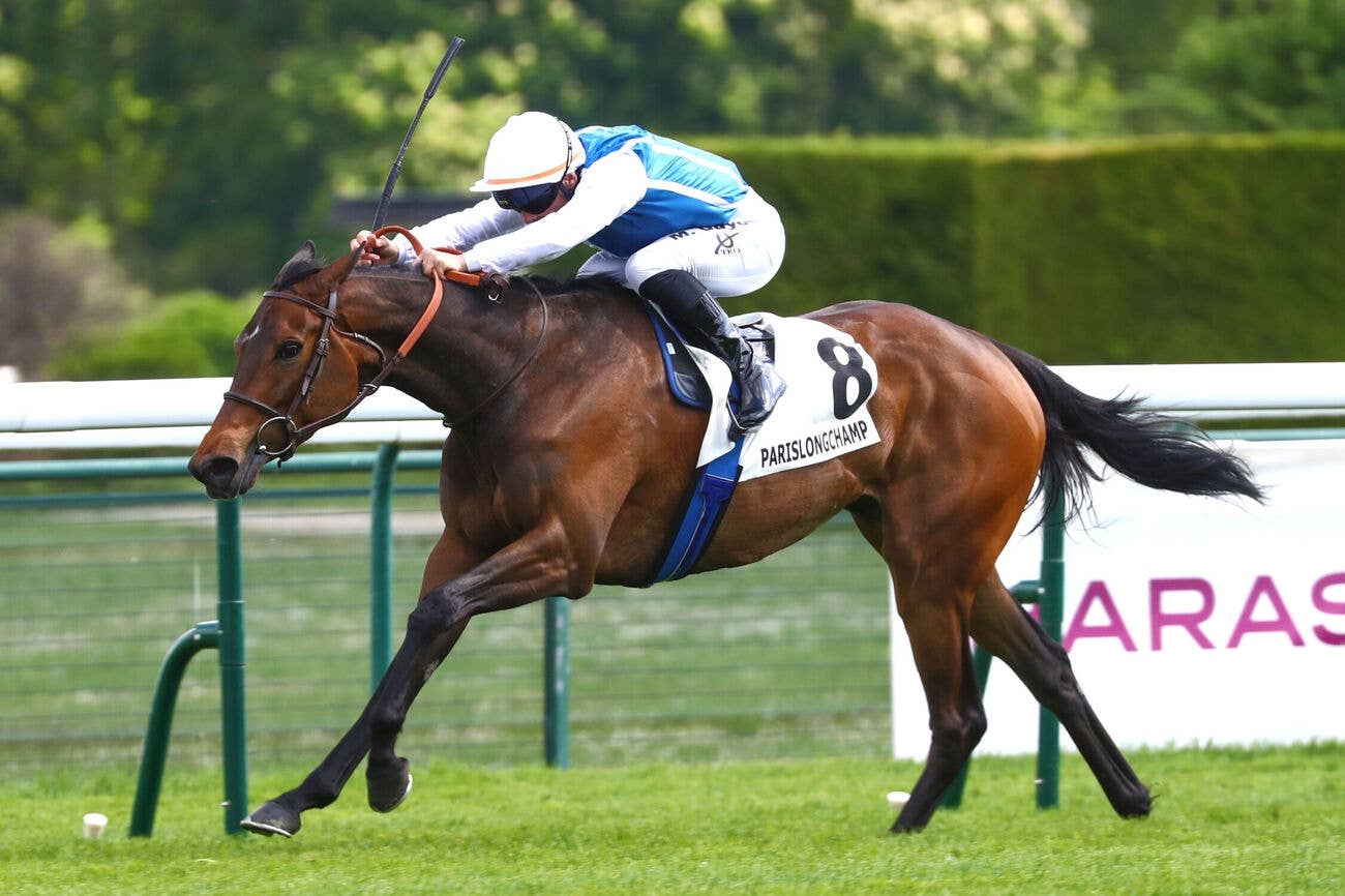 希少　レア 凱旋門賞の歴史 第3巻 1965-1982　フランス　競馬 希少 レア 凱旋門賞の歴史 第3巻 1965-1982 フランス 競馬 希少