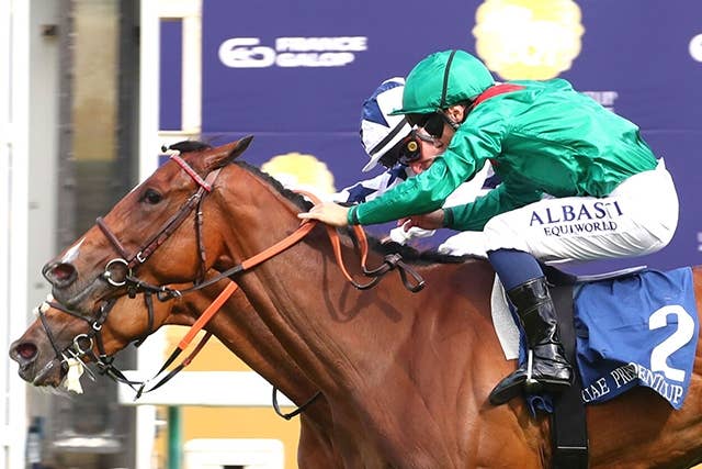 フランス競馬百年史　ギイ.チボー著　貴重 フランス競馬百年史 ギイ.チボー著 貴重 フランス競馬百年史