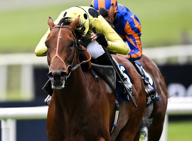 ジャックルマロワ賞直前に激震、本命馬ロザリオンが出走取消 | JRA-VAN