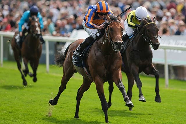 オーギュストロダン（Auguste Rodin） | 競馬データベース | JRA-VAN