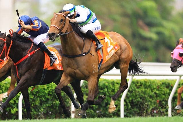 三冠馬3頭、伝説のジャパンカップ 1年前の感動新たに - 日本経済新聞