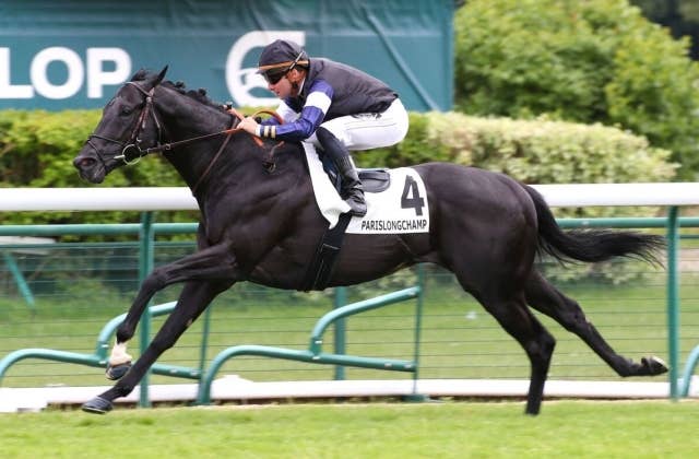 日本人所有のトップギア、仏G3パレロワイヤル賞を快勝でサトノレーヴと
