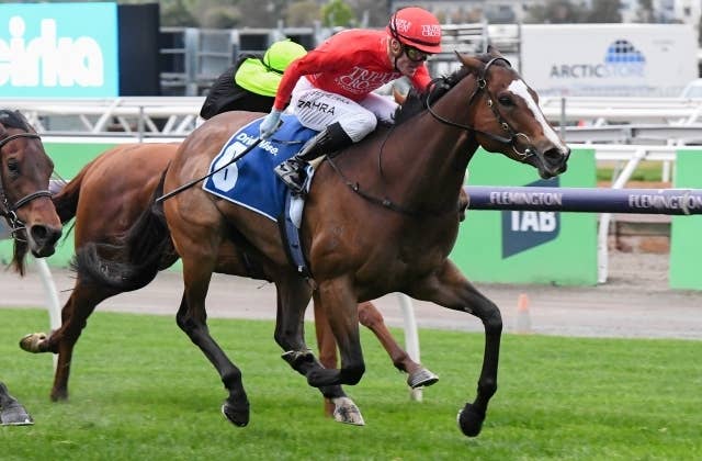 豪マジックミリオン社の繁殖牝馬セール初日にノーザンファームが3頭を