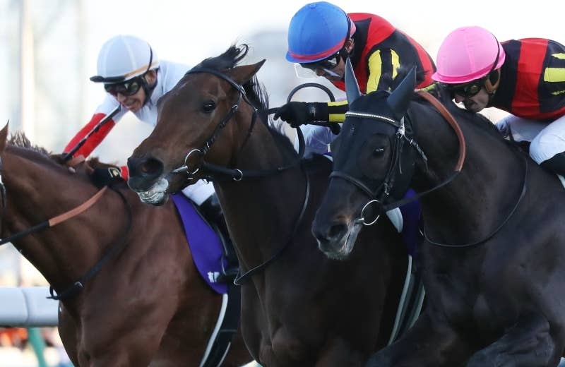 新製品情報も満載 レガレイラ（Regaleira） | 競馬データベース | JRA-VAN World コレクション