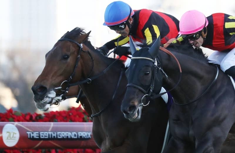 レガレイラ（Regaleira） | 競馬データベース | JRA-VAN World