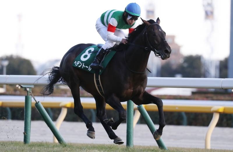 ヘデントール（Redentor） | 競馬データベース | JRA-VAN World - 海外