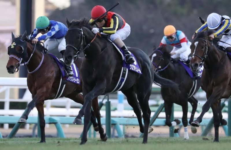 クロワデュノール（Croix du Nord） | 競馬データベース | JRA