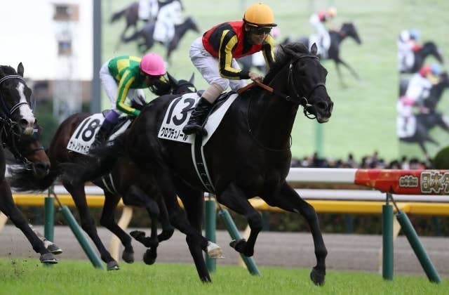 クロワデュノール（Croix du Nord） | 競馬データベース | JRA