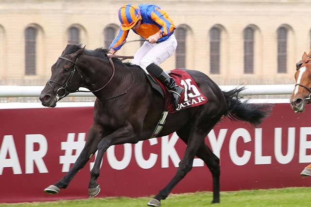 仏ダービー馬カミーユピサロ、急死の父ウートンバセットの後継種牡馬に