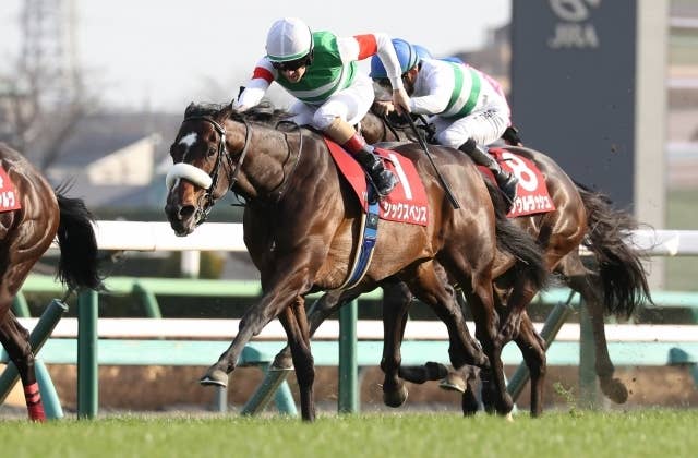 8月17日にノルマンディーの海岸に現れるのか？」仏メディアが日本馬の