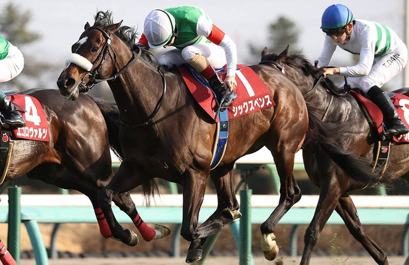 絆✨シックスペンス✨絆【メイクデビューからクラシック軌跡】 シックスペンス（Sixpence） | 競馬データベース | JRA-VAN